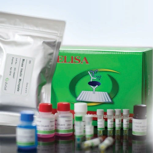 Anti Proteolipid Protein 1 Elisa Kits