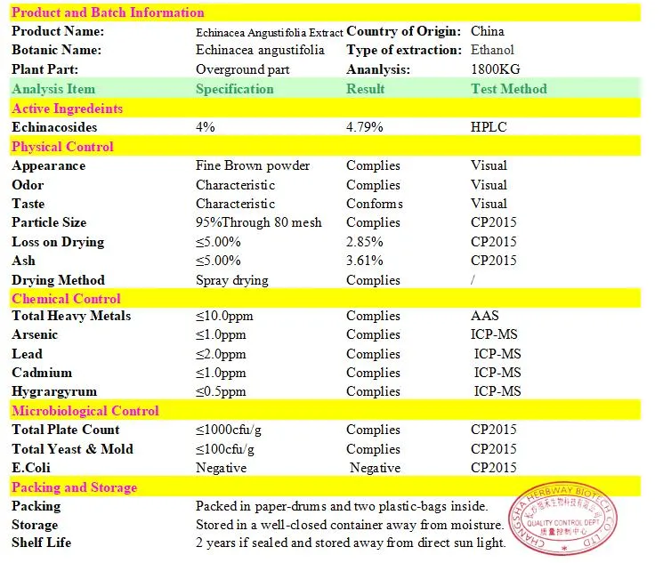 Herbway Factory Supply 2023 New Product Echinacea Angustifolia Extract 100% Echinacea Polyphenol Powder